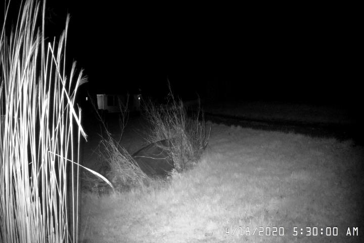 QTH Cam